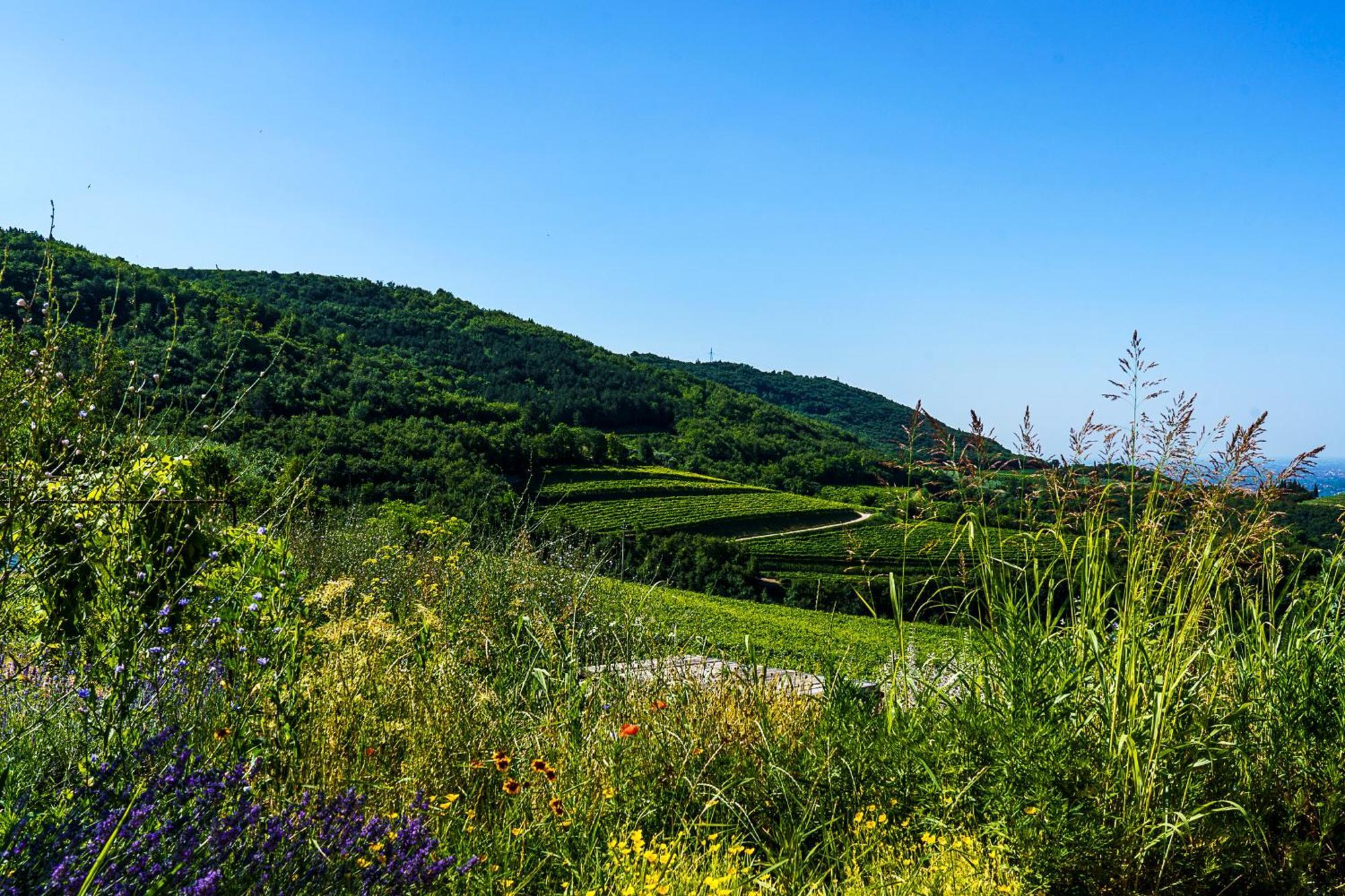 גרצאנה Villa Balis Crema Verona Hills (Adults Only) מראה חיצוני תמונה